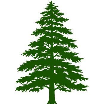 Tree Plant 3 Thumbnail