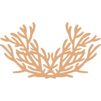 Sea Plants Thumbnail