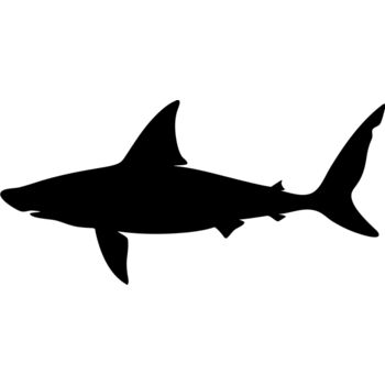 Aquatic Animal1 02 Thumbnail