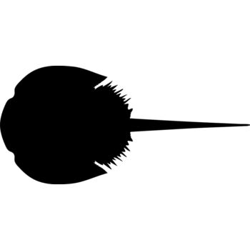 Aquatic Animal1 10 Thumbnail