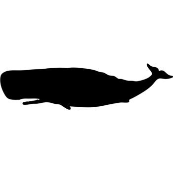 Aquatic Animal1 05 Thumbnail