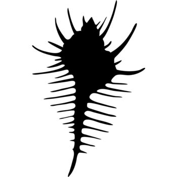 Aquatic Animal1 01 Thumbnail