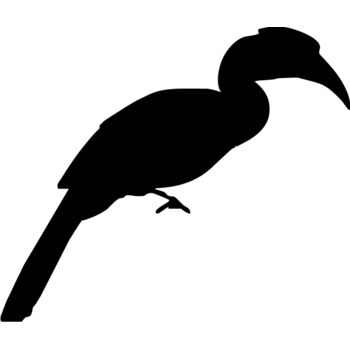 Bird silhouettes1 13 Thumbnail