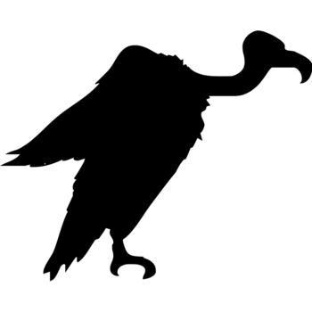 Bird silhouettes1 15 Thumbnail