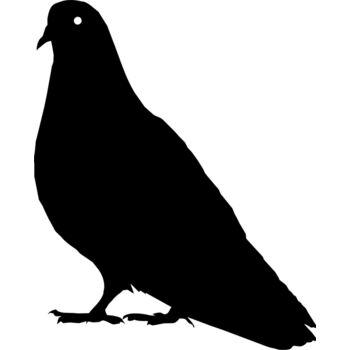 Bird silhouettes1 04 Thumbnail