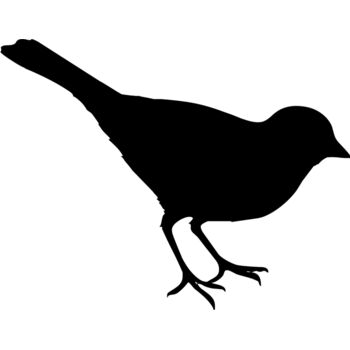Bird silhouettes1 11 Thumbnail