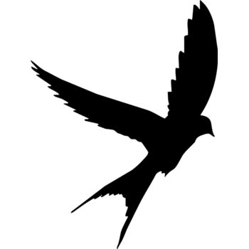 Bird silhouettes1 10 Thumbnail