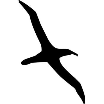 Bird silhouettes1 07 Thumbnail