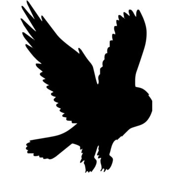 Bird silhouettes1 12 Thumbnail