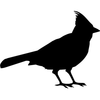 Bird silhouettes1 09 Thumbnail