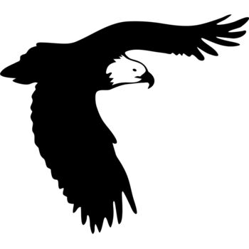 Eagle Silhouette1 08 Thumbnail