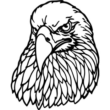 Eagle Silhouette1 09 Thumbnail