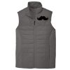 Collective Insulated Vest Thumbnail