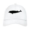Structured Stretch Cotton Cap Thumbnail