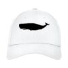 Structured Stretch Cotton Cap Thumbnail