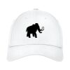 Structured Stretch Cotton Cap Thumbnail