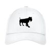 Structured Stretch Cotton Cap Thumbnail