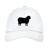 Structured Stretch Cotton Cap Thumbnail