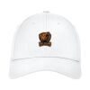Structured Stretch Cotton Cap Thumbnail