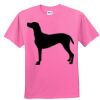 Youth 5.5 oz., 50/50 T-Shirt Thumbnail