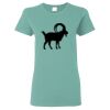 Heavy Cotton Women's Short Sleeve T-Shirt Thumbnail