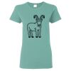 Heavy Cotton Women's Short Sleeve T-Shirt Thumbnail