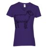 Heavy Cotton Women's V-Neck T-Shirt Thumbnail
