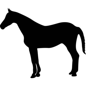 Farm Animals Thumbnail